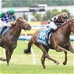 sandown guineas bet on